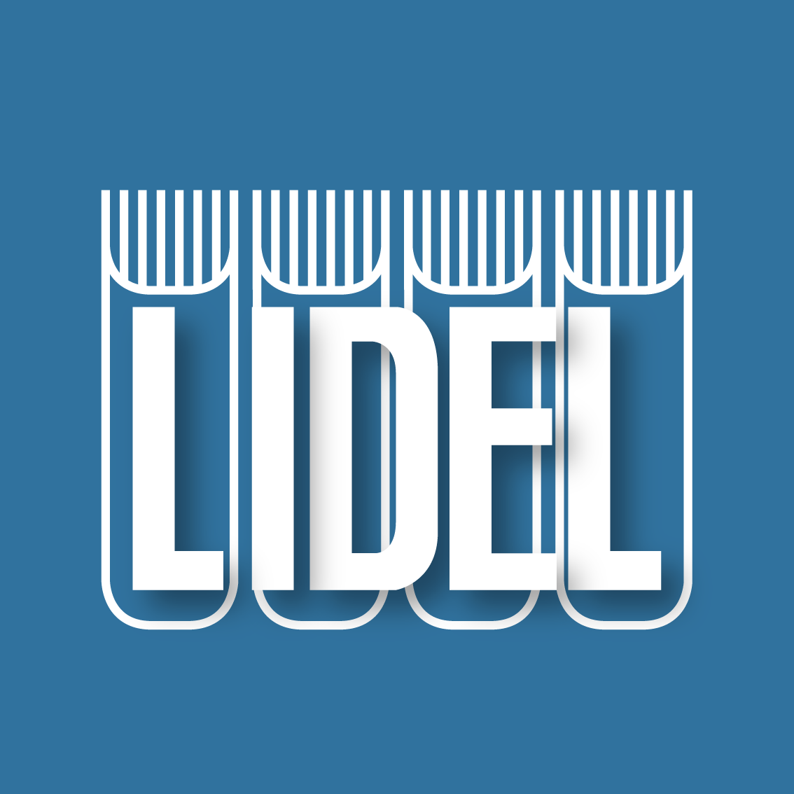 logo Lidel